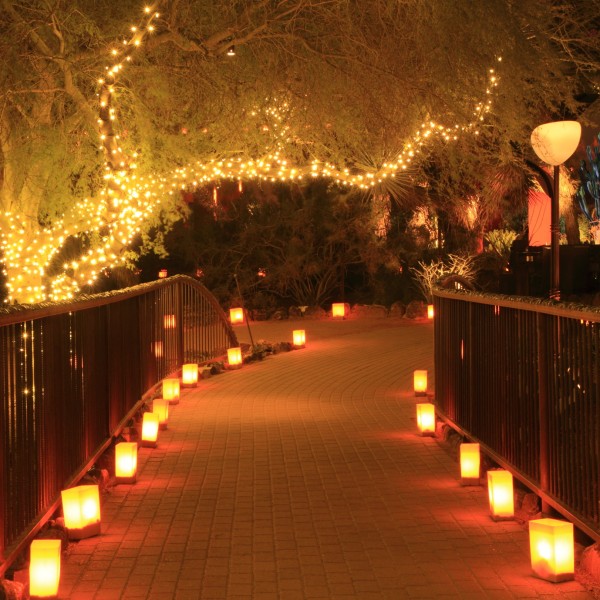 luminarias line a path at night for Christmas season