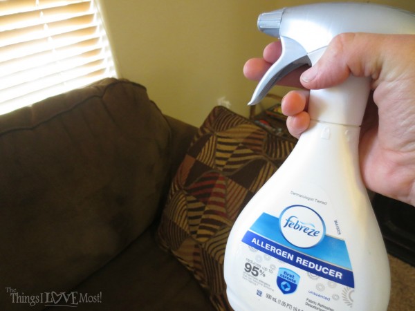 3 ways to Reduce Allergens in Your Home | The Things I Love Most