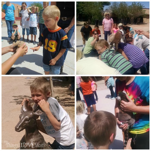 Roos-N-More Zoo in Moapa Nevada | www.thethingsilovemost.com