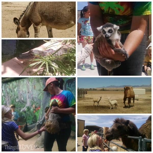 Roos-N-More Zoo in Moapa Nevada | www.thethingsilovemost.com