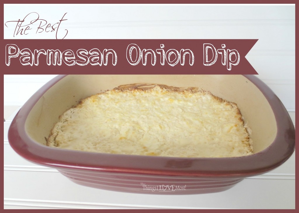 Parmesan Onion Dip