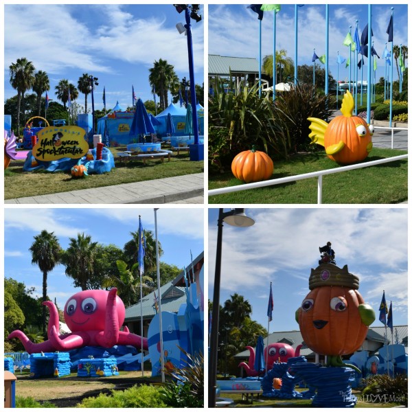 Halloween at SeaWorld