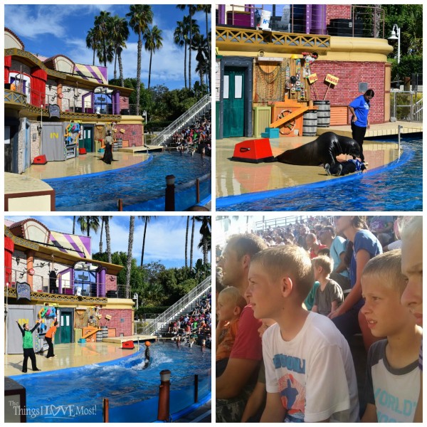 SeaLion and Otter Show at SeaWorld