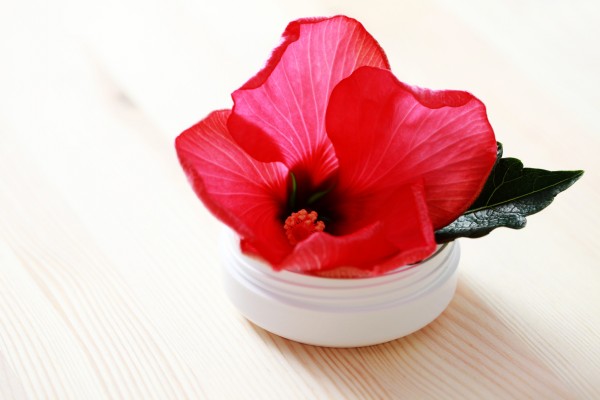 hibiscus face cream