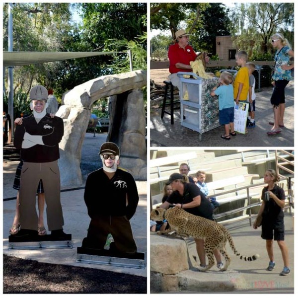 San Diego Zoo - Kid Free October