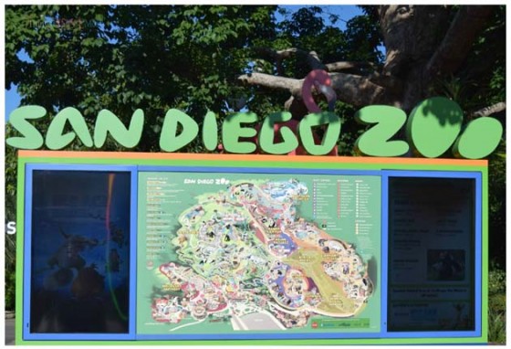 San Deigo Zoo - Kid Free October12