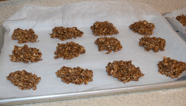 Delicious Quick and Easy No Bake Cookies