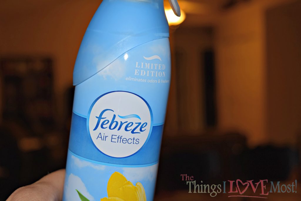 Take the Stink Out of Your Summer with Febreze