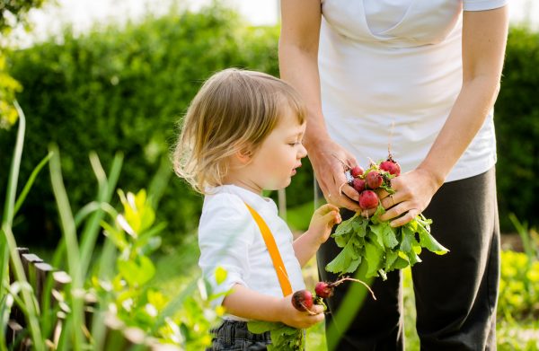 Fun with Flowers: Get Your Kids Outside