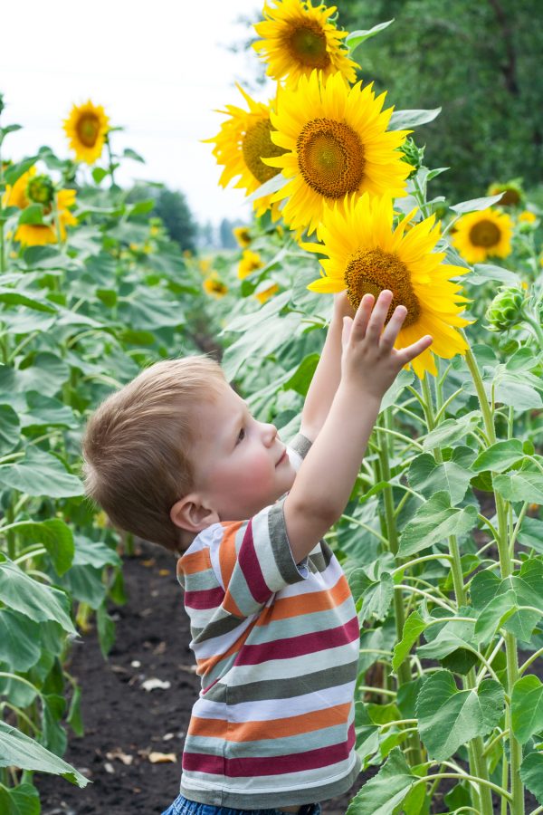 Fun with Flowers: Get Your Kids Outside