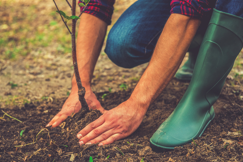 5 Tips to Spend More Time in the Garden