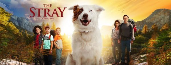 The Stray - A True Story {Movie Review}