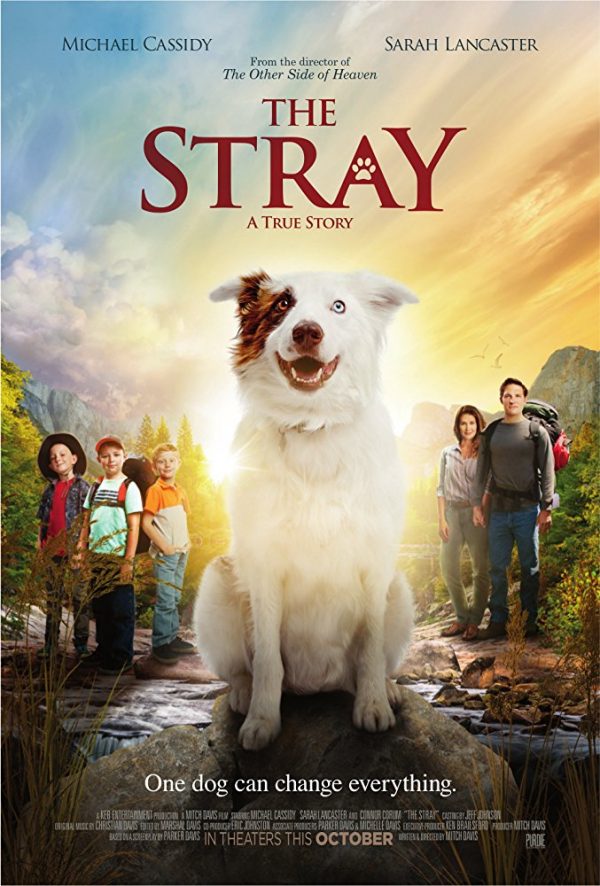 The Stray - A True Story {Movie Review}