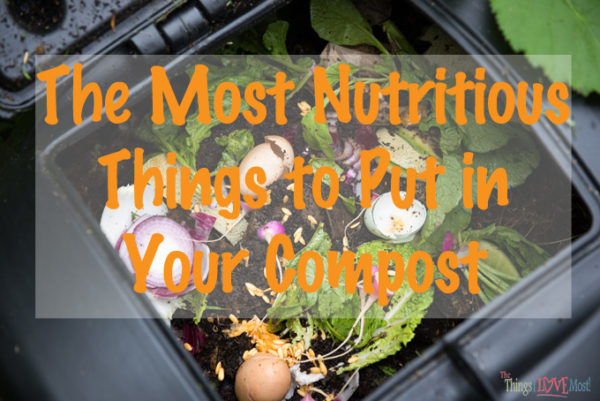 The Most Nutritious Things to Put in Your Compost