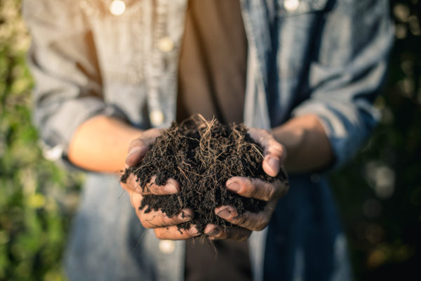 The Most Nutritious Things to Put in Your Compost