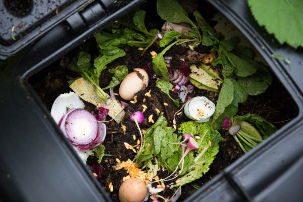 The Most Nutritious Things to Put in Your Compost