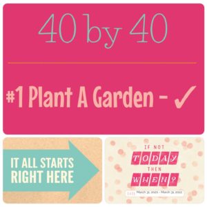 #1 – Plant a Garden – 40 by 40