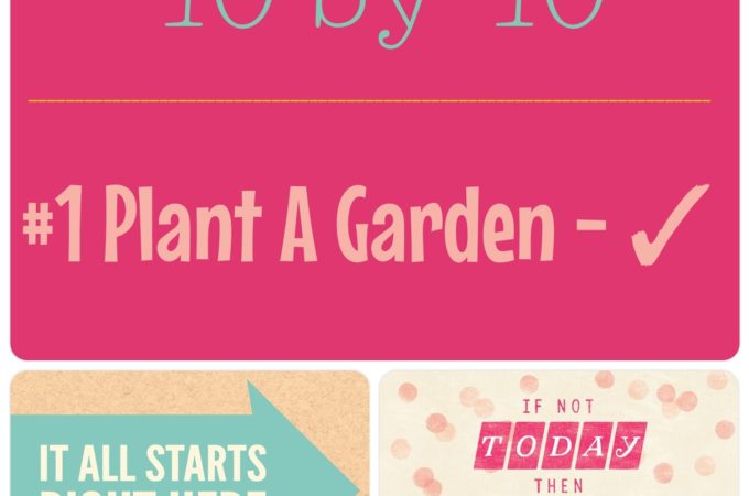 #1 – Plant a Garden – 40 by 40