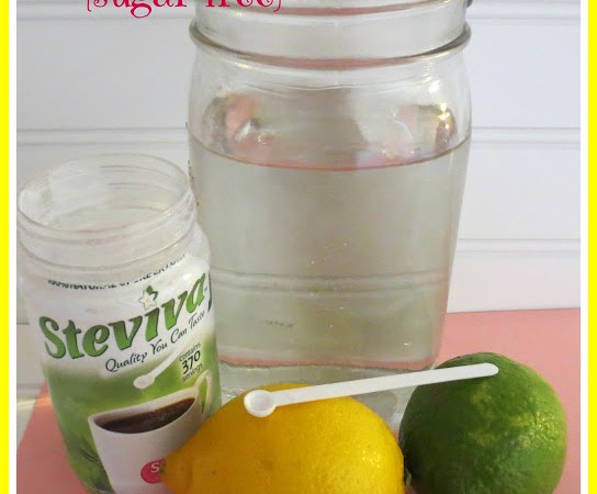 Fresh Lemonade – Sugar Free