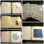 Asia Flash Cards {Bit Cards}