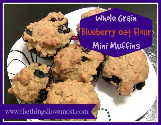 Whole Grain Blueberry Oat Flour Mini Muffins