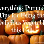 Everything Pumpkin: Tips for Using the Delicious Vegetable this Fall