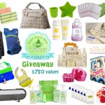 Winter Awards Giveaway – $750+ in Amazing Eco-Friendly Products