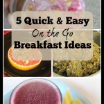 5 Quick and Easy On the Go Breakfast Ideas