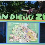 San Diego Zoo – Kid Free October