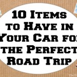 10 Items to Have in Your Car for the Perfect Road Trip