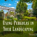 Using Pergolas in Your Landscaping {Guest Post: Maurine Anderson}