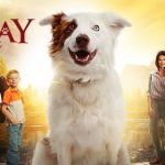 The Stray – A True Story {Movie Review}