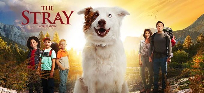 The Stray – A True Story {Movie Review}