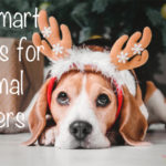 7 Smart Gifts for Animal Lovers {Guest Post}