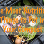 The Most Nutritious Things to Put in Your Compost {Guest Post}