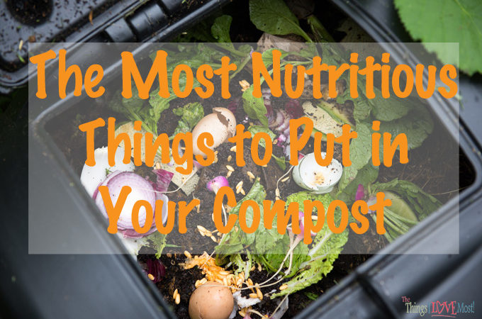 The Most Nutritious Things to Put in Your Compost {Guest Post}